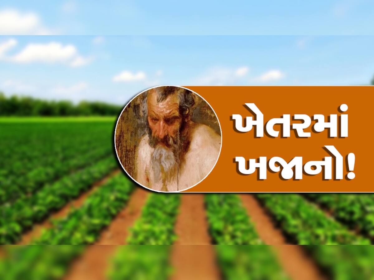 ઓ બાપ રે! ખેતરના કચરામાંથી મળી એવી વસ્તુ કે વેચનાર કરોડપતિ બની ગયો, 24 કરોડ રૂપિયા મળ્યા