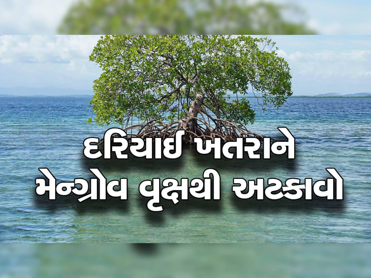 Climate Change: વલસાડ પર મોટો ખતરો, ગુજરાતના નક્શામાંથી ગાયબ થતુ બચાવવું હોય તો આ વૃક્ષ બનશે સંજીવની