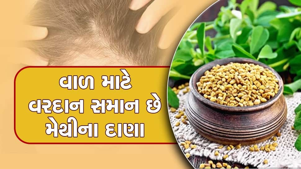 Hair Fall Home Remedy ખરતા વાળ માટે ઉપયોગી છે મેથીના દાણા, આ રીતે કરો