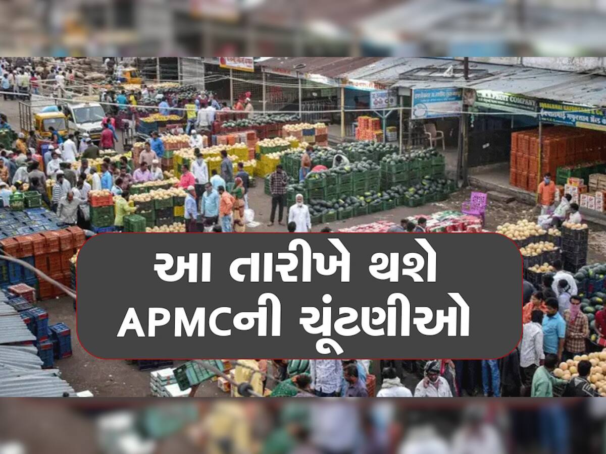 APMC Election: ભરશિયાળે રાજ્યમાં રાજકીય ગરમાવો! ગુજરાતની 23 APMC ની ચૂંટણીઓની તારીખો જાહેર