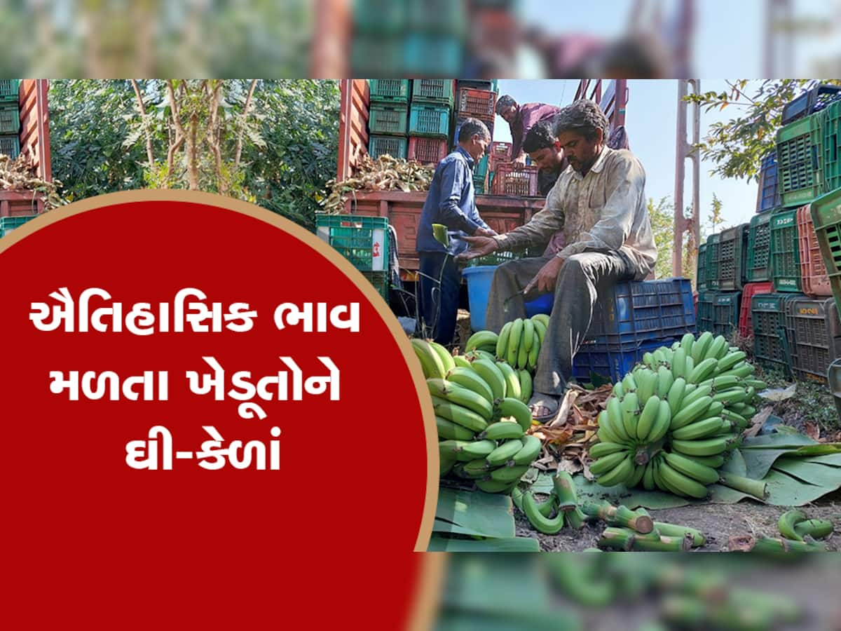 ગુજરાતના આ ખેડૂત માટે કેળ બન્યું કલ્પવૃક્ષ! કેળાની ખેતી સાથે મુલ્યવર્ધનથી કરી લાખોની કમાણી