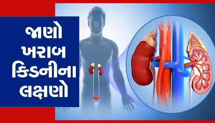 kidney damage symptoms warning signs muscle pain health care