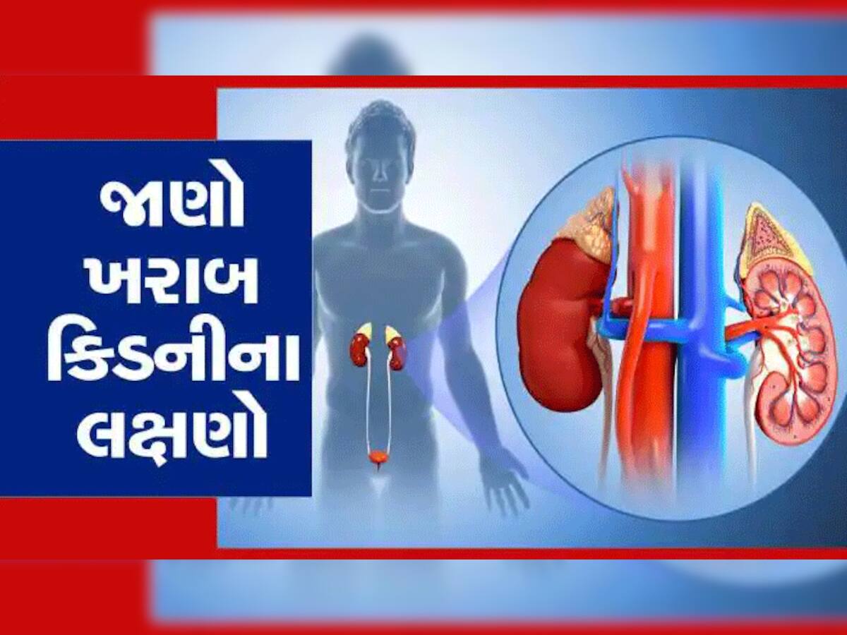 Kidney Damage: જ્યારે શરીરમાં આવવા લાગે પાંચ બદલાવ, તો સમજી લો કિડની ગઈ કામથી!