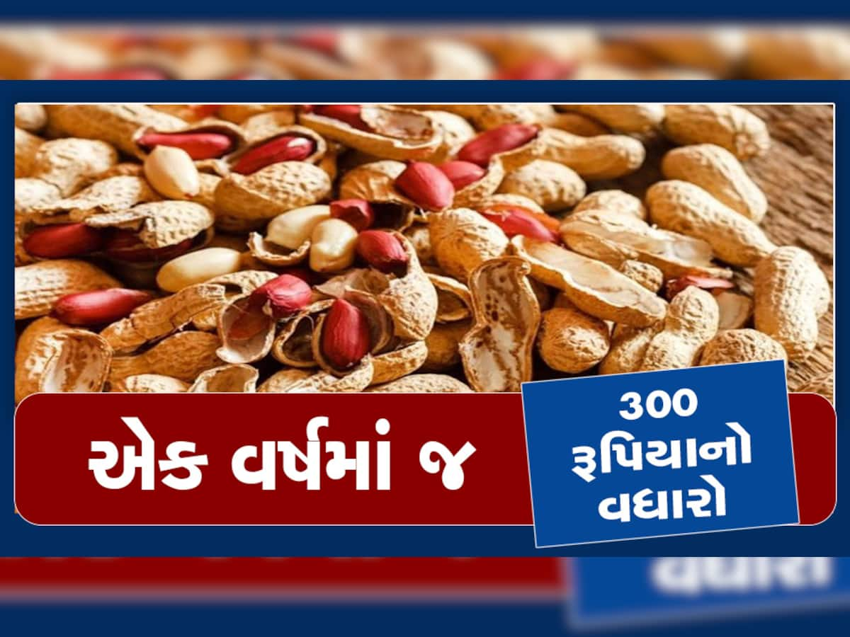 તેલિયા રાજાઓના પાપે સિંગતેલના ભડકે બળી રહ્યાં છે ભાવ, સરકારના ચાર હાથ