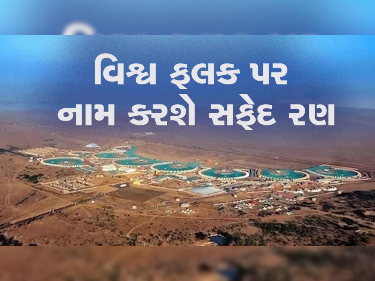 સમગ્ર દુનિયા કચ્છના રણની ચમક જોવા સજ્જ, 20 દેશોના ડેલીગેટ્સ આવશે, આ મુદ્દાઓ પર રહેશે નજર