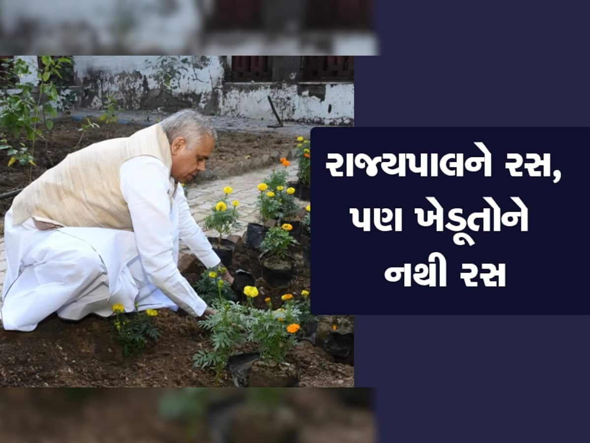 Organic Farming : સરકારના ધમપછાડા છતાં ગુજરાત 10મા નંબરે, આ રાજ્યો આગળ નીકળી ગયા