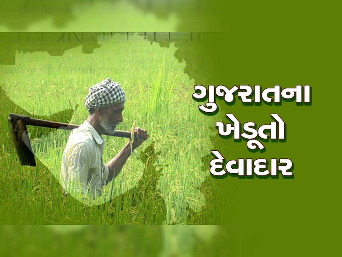 ગુજરાતના ખેડૂતો પર વધી રહ્યું છે દેવું, સરકારની વાતો માત્ર ગુલબાંગો સાબિત