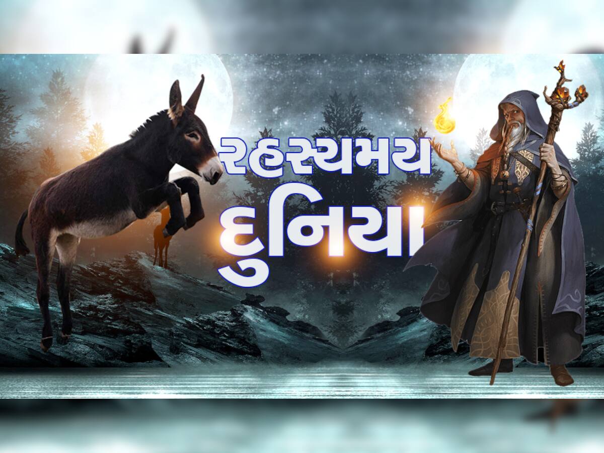 એક ગઘેડાના કારણે એવું  મળ્યું કે પુરાતત્ત્વવિદો પણ ચોંકી ગયા