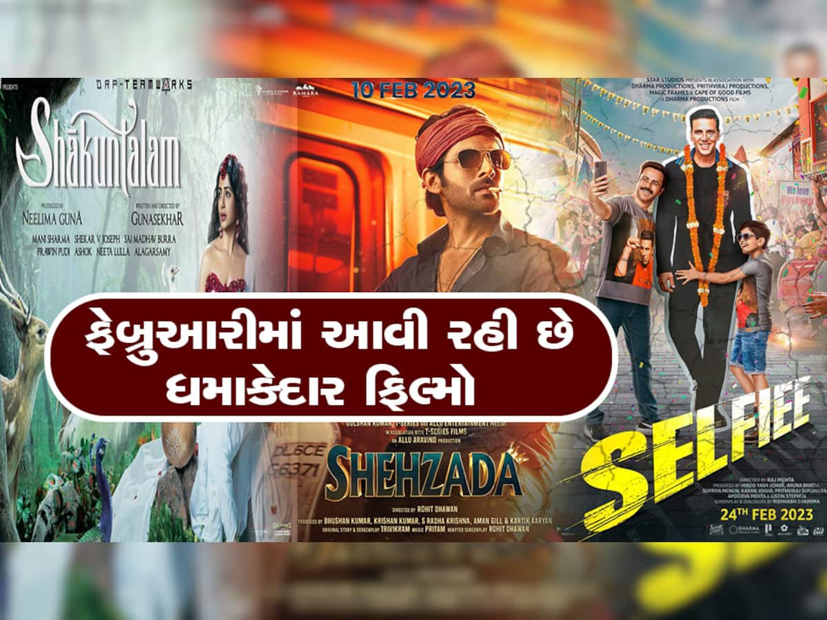 February New Movies: ફેબ્રુઆરીમાં 'શેહઝાદા'થી લઈને 'સેલ્ફી' સુધી આ 8 ફિલ્મો થશે રિલીઝ 