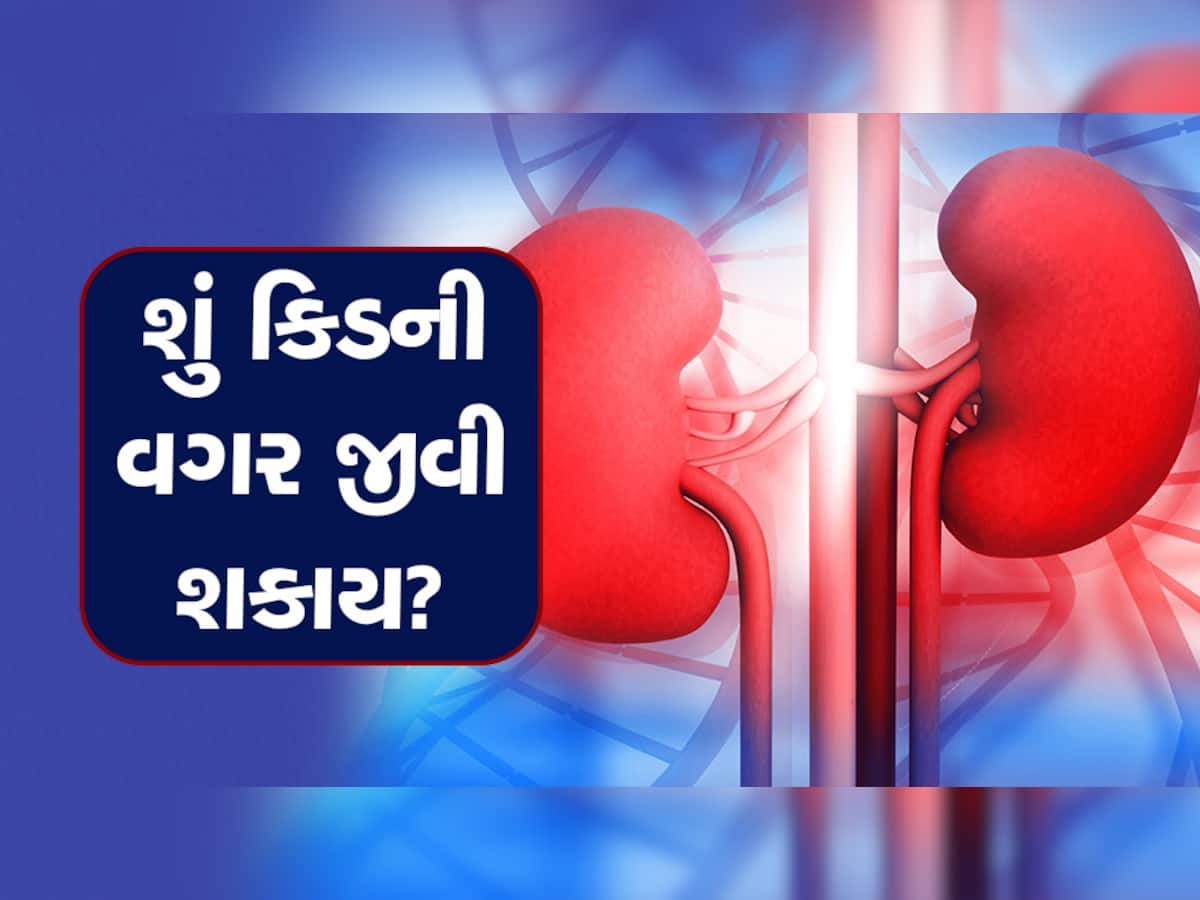 શું બન્ને કિડની ફેલ થઈ જાય તો માણસ જીવી શકે? જાણો શું કહે છે નિષ્ણાતોનો મત