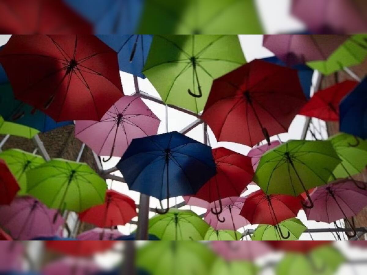 National Umbrella Day: આજે છે રાષ્ટ્રીય છત્રી દિવસ, લોકોને તડકા-વરસાદથી બચાવતી છત્રી વિશે આ અજાણી વાતો