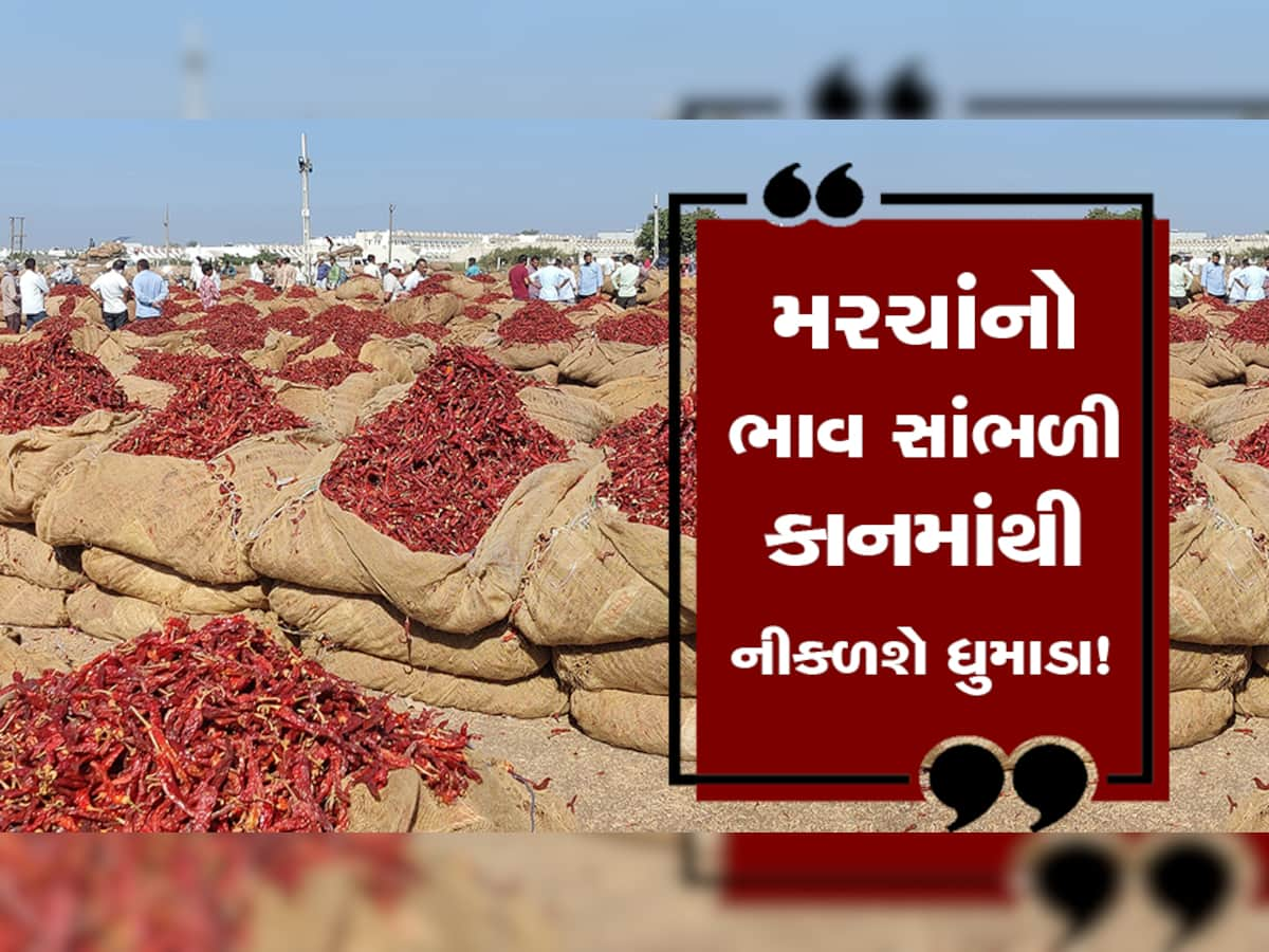 મોંઘવારીમાં વધુ એક ડામ! ગુજરાતના પ્રખ્યાત મરચાની તીખાશ આ વખતે લોકોને ખિસ્સામાં પણ લાગશે!