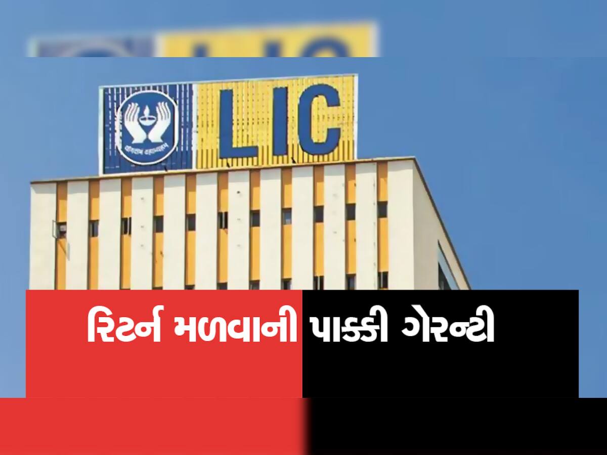 LIC ની પોલિસીથી દેશભરમાં ધૂમ, 15 દિવસમાં વેંચાઈ ગઈ 50 હજારથી વધુ પોલિસી