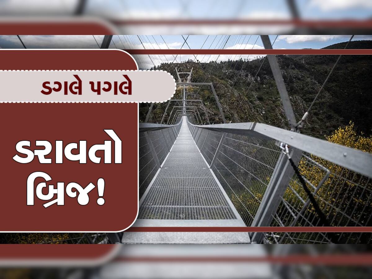 આ છે દુનિયાનો સૌથી ભયાનક ફૂટઓવર બ્રિજ! અહીંથી પસાર થવા માટે જિગર હોવું જોઈએ