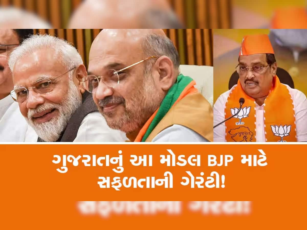 ગુજરાત બાદ પેજ સમિતિના 'બ્રહ્માસ્ત્ર'નો લોકસભામાં ઉપયોગ કરશે ભાજપ! જાણો કેટલો સફળ થશે?