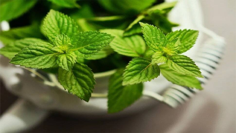 healthy-recipe