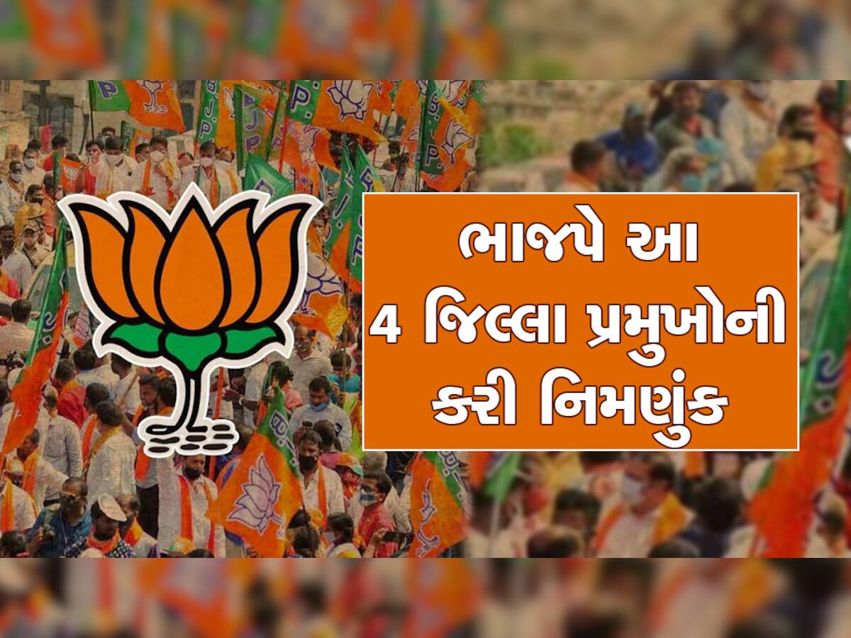 Gujarat BJP: ચૂંટણી હાર્યા તો મંત્રીપદ ગયું પણ હવે જિલ્લા પ્રમુખ બની ગયા, આ 4 નેતાઓને લોટરી લાગી