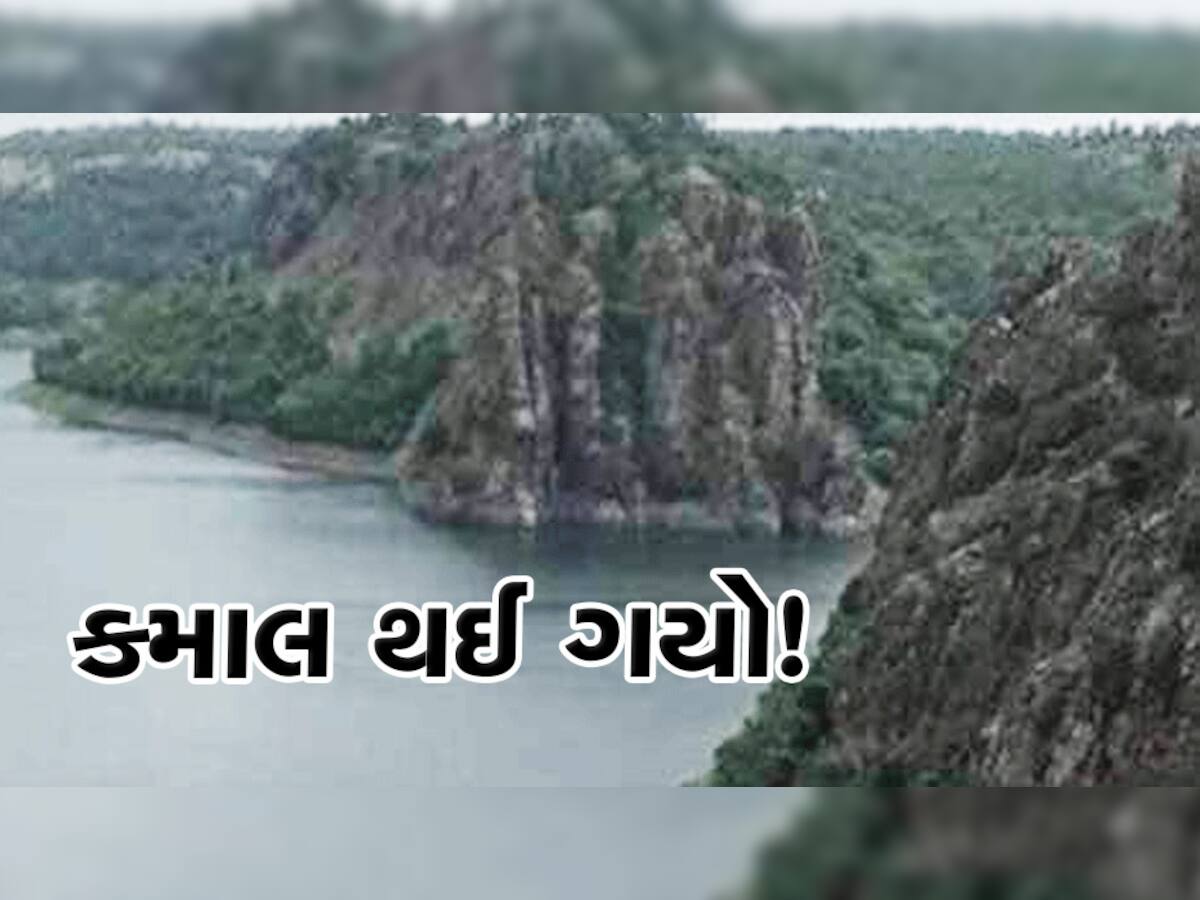 હિમાચલ અને ડાયનોસોર કરતાં જૂના અવશેષો છે ગુજરાતમાં, ગણાવી ચોથી જિયોલોજીકલ અજાયબી