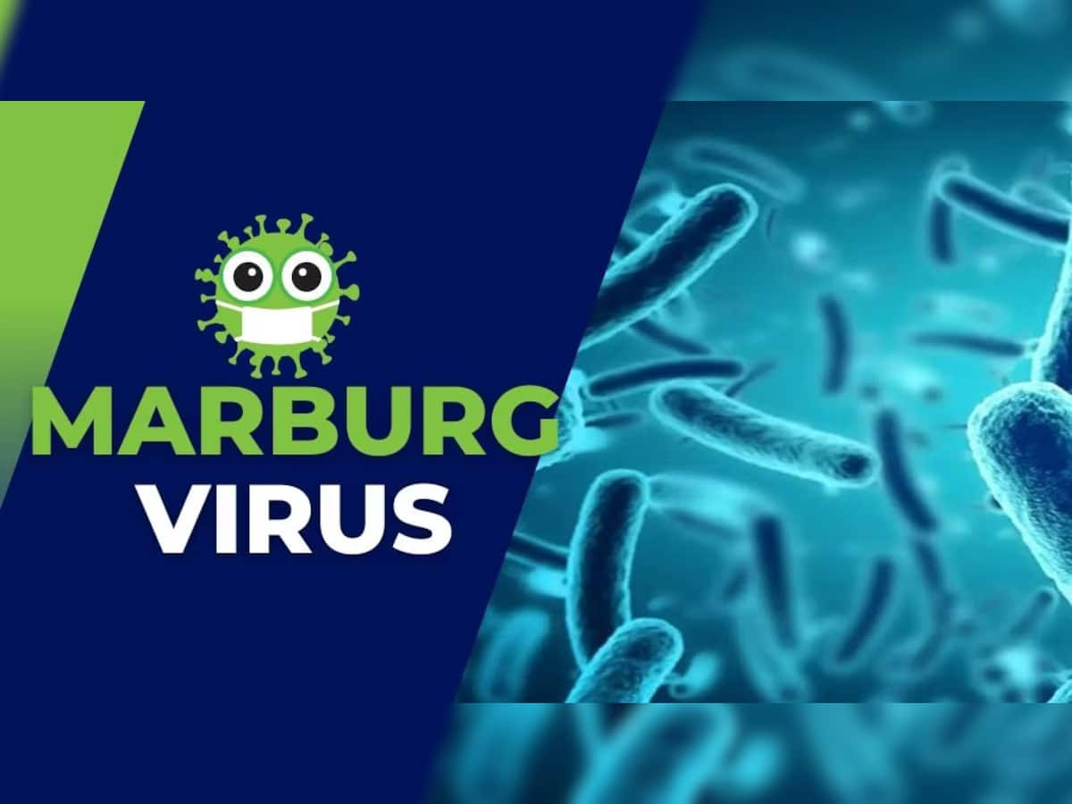 Marburg Virus: આ દેશમાં સામે આવ્યો કોરોના કરતાં પણ વધુ ખતરનાક વાયરસ, WHOએ આપી ચેતવણી