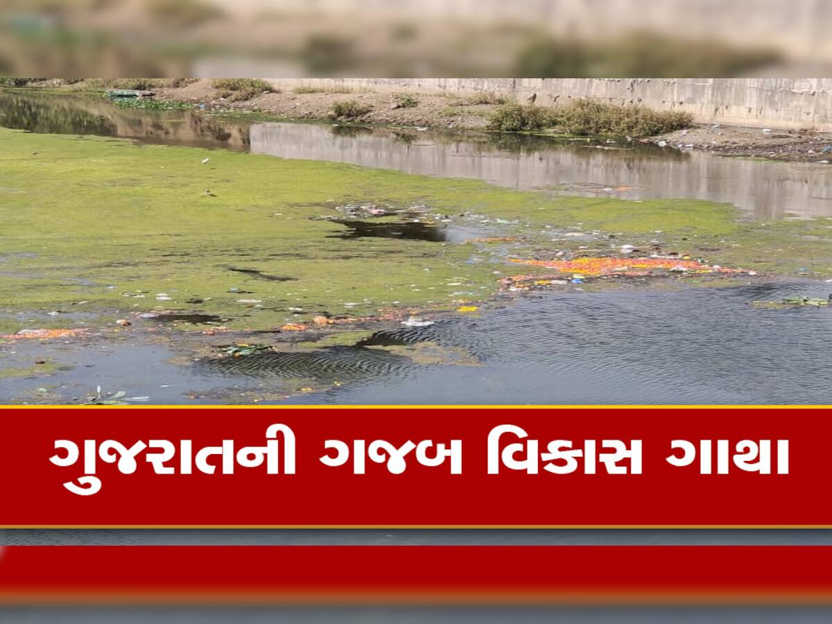 આમને આમ ચાલ્યું તો ગુજરાતમાં એક પણ નદી નહીં રહે સ્વચ્છ, પર્યાવરણ પ્રેમી અને લોકો ચિંતાતૂર