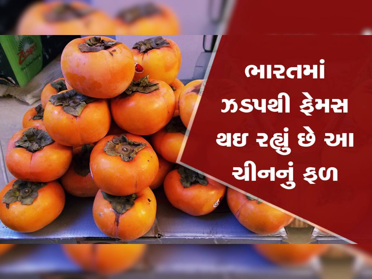 Health Tips: અમરફળ છે કે પોષકતત્વો અને વિટામીનોનો ખજાનો, ફાયદા જાણીને ખરીદવા દોડશો