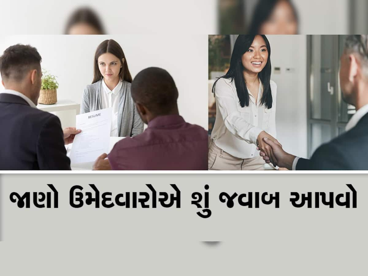 જો તમે ફ્રેશર છો, તો આ 5 Interview Questions ની કરો તૈયારી :  HR ચોક્કસ પૂછશે