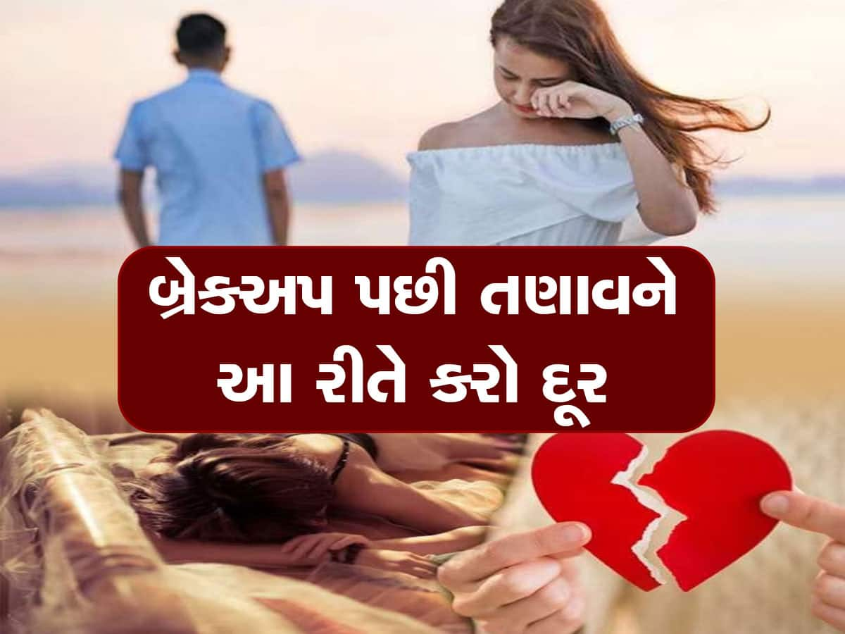 Breakup Day 2023: બ્રેકઅપ પછી વ્યક્તિ સરી પડે છે આઘાતમાં, આ રીતે દૂર કરો 'એકલાપણું' અને તણાવ