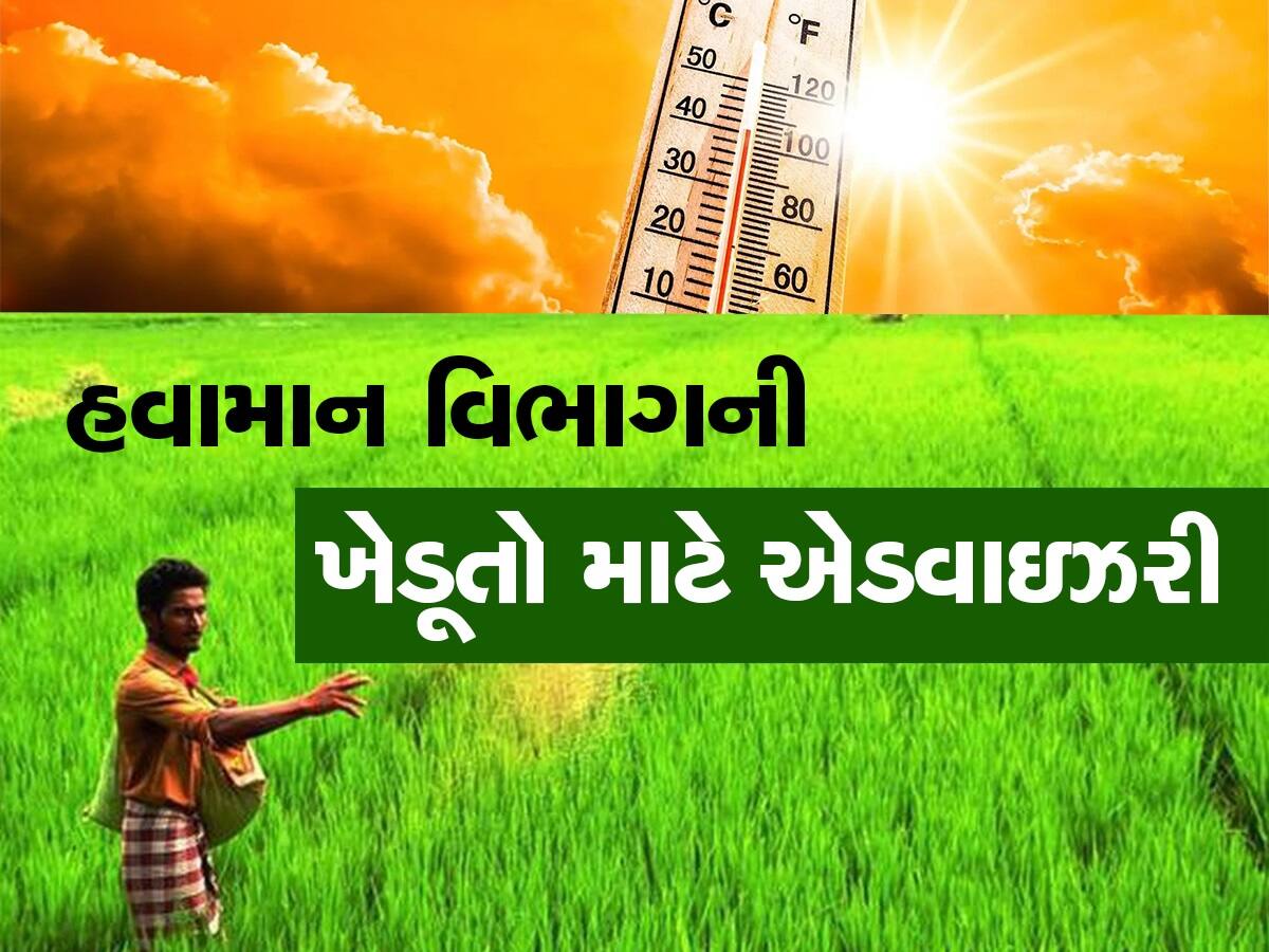 ફેબ્રુઆરીમાં તાપમાનનો પારો ઉંચકાયો, ખેડૂતો થઈ જાય એલર્ટ! હવામાન વિભાગે જાહેર કરી એડવાઇઝરી