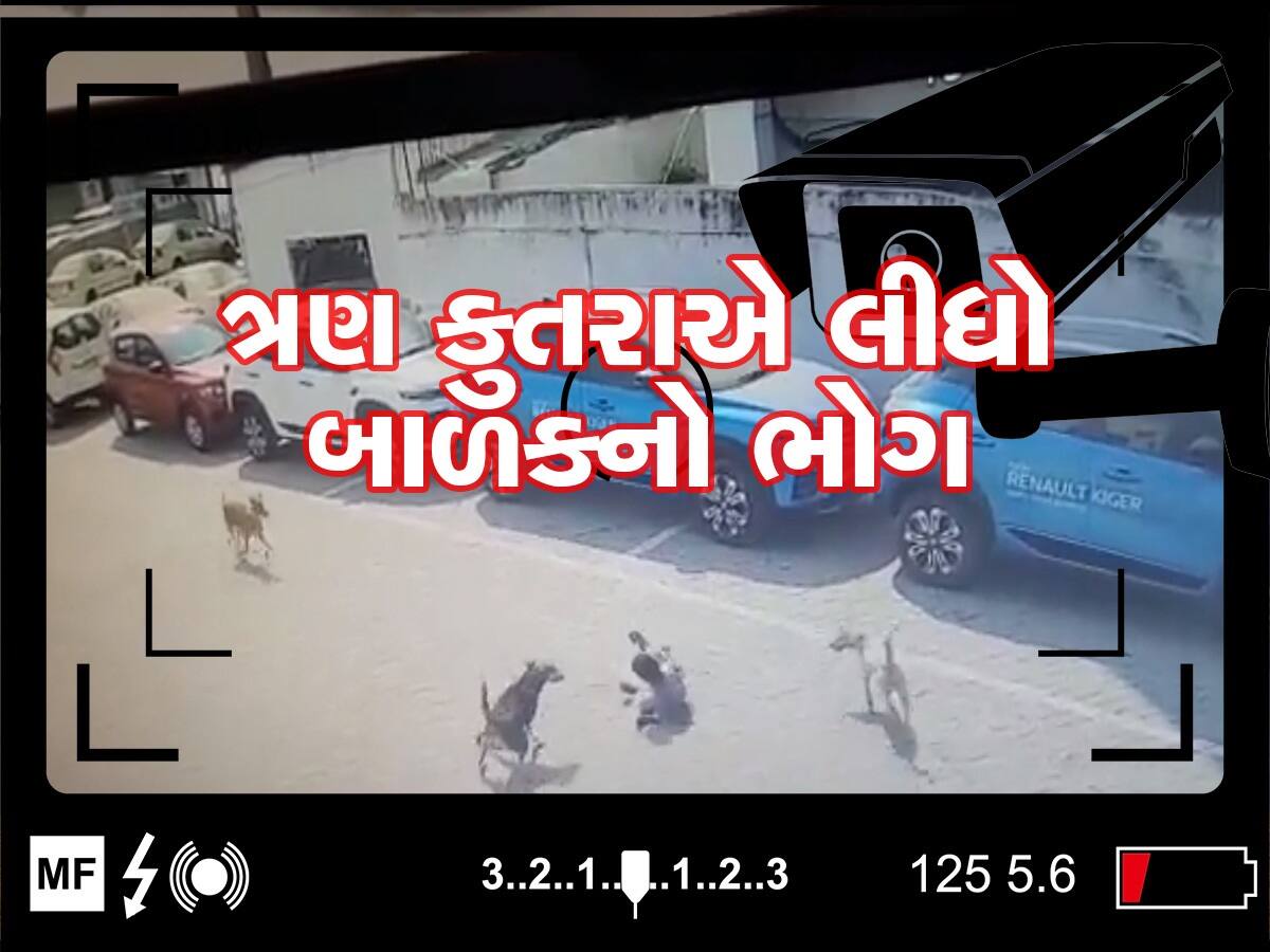 CCTV: હૈદરાબાદમાં 4 વર્ષના બાળક પર તૂટી પડ્યા ત્રણ કુતરા, બચકાં ભરીને લઈ લીધો જીવ