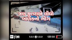 CCTV: હૈદરાબાદમાં 4 વર્ષના બાળક પર તૂટી પડ્યા ત્રણ કુતરા, બચકાં ભરીને લઈ લીધો જીવ