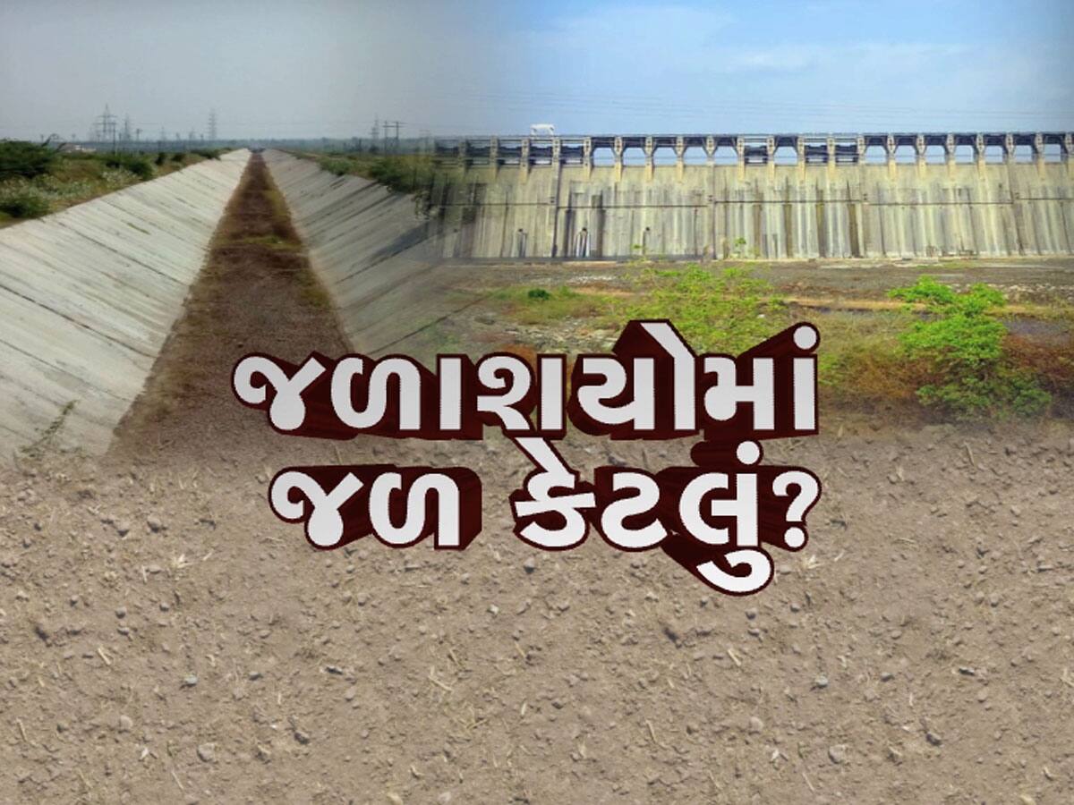 પાણી બચાવવાનું અત્યારથી શરૂ કરી દો, શિયાળાના વિદાય પહેલા જ ખાલીખમ થયા ગુજરાતના જળાશયો 