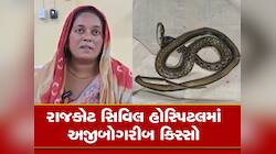 મહિલાને કરડવું ભારે પડ્યું! સાપને બોટલમાં ભરી મહિલા હોસ્પિટલ પહોંચી તો...