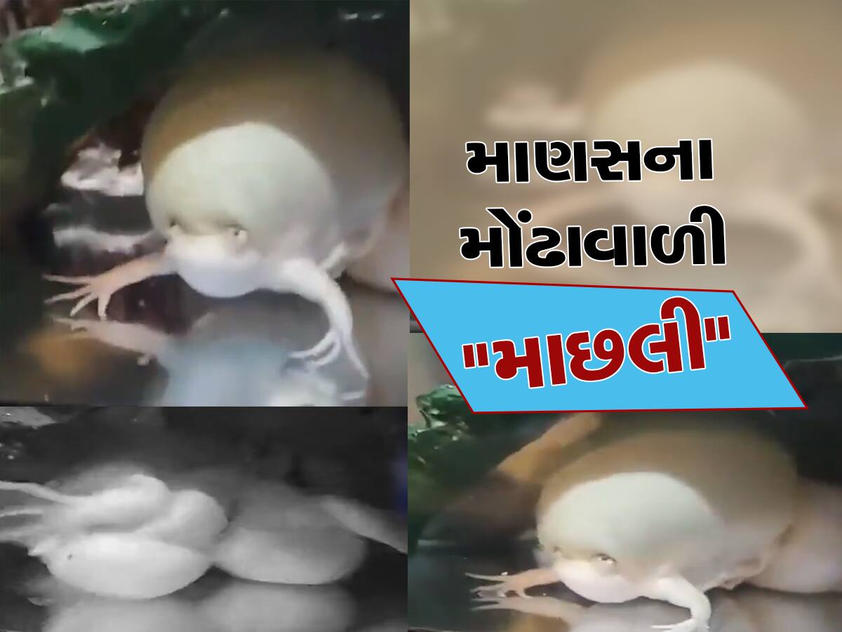 Viral Video: ફિશ ટેન્કમાં નવજાત બાળક જેવા જીવને જોઈને લોકો પણ ચોંકી ઉઠ્યા