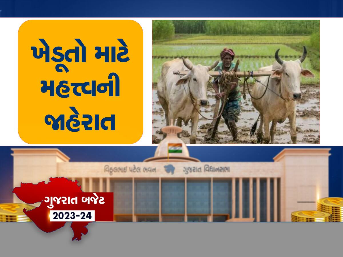 Gujarat Budget: ખેડૂતો માટે સૌથી મોટી ખુશખબર! જગતના તાતની આવક ડબલ કરવા સરકારે ખજાનો ખોલ્યો