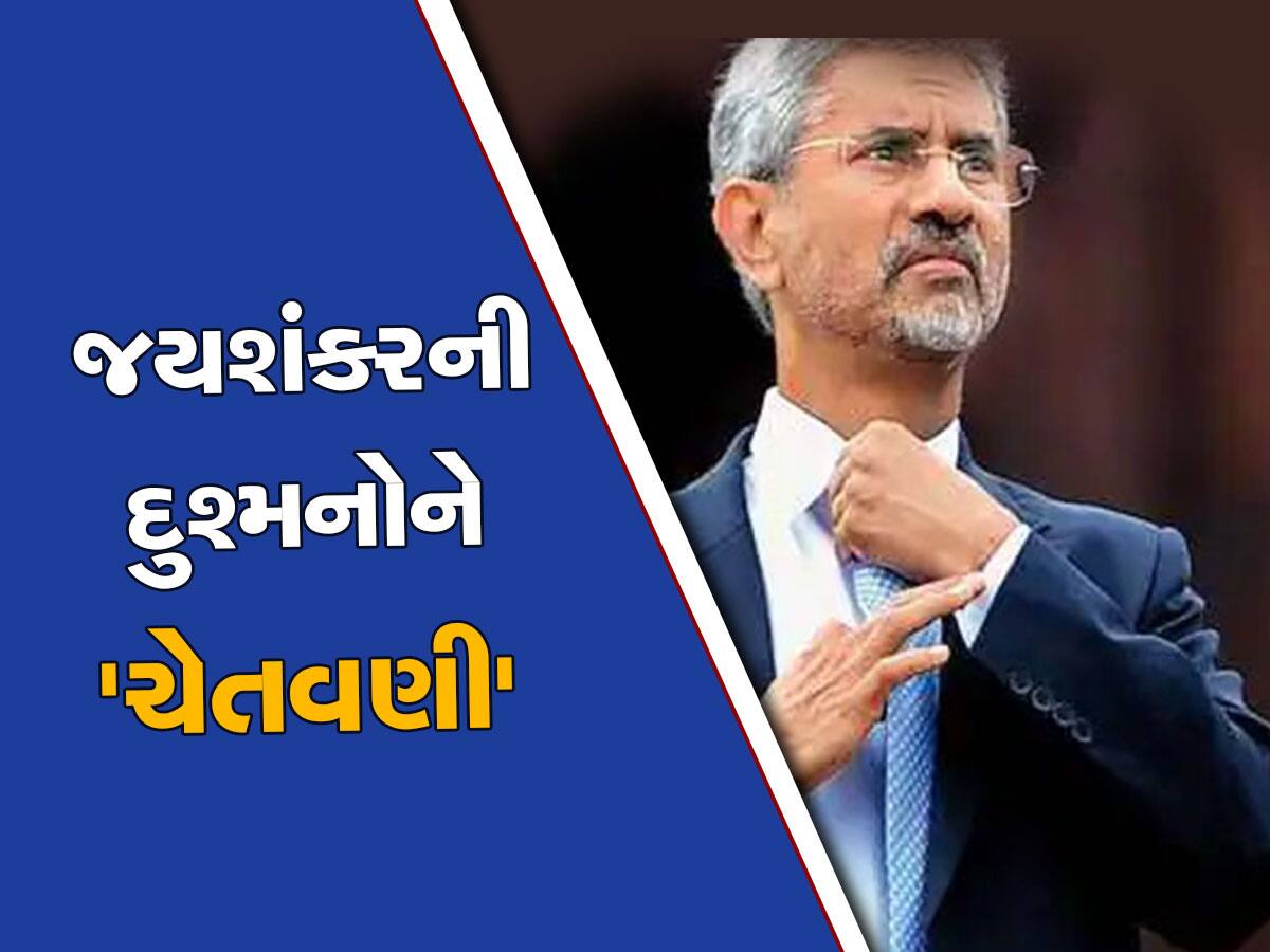 જયશંકરે પાકિસ્તાન-ચીન પર સાધ્યું નિશાન, 'ભારત પોતાની રક્ષા માટે કોઈ પણ હદ સુધી જઈ શકે છે'