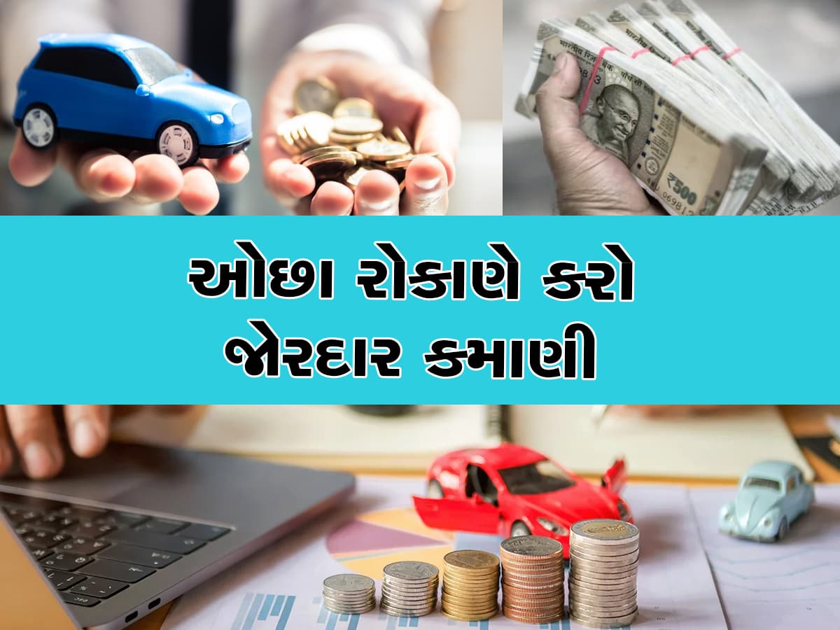 Business Idea: માત્ર 50,000 રૂપિયામાં શરૂ કરો આ સુપરહિટ બિઝનેસ, દર મહિને થશે લાખોની કમાણી