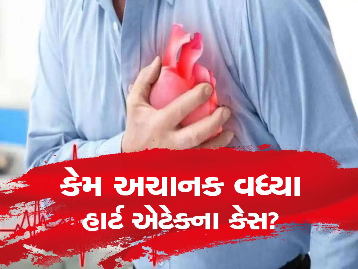 Heart Attack: ભારતમાં કેમ વધી રહ્યું છે હાર્ટ એટેકના કેસોનું પ્રમાણ? શું આદુ ખાવાથી ખાંસી-છીંક, હાર્ટ એટેક રોકી શકાય, જાણો શું કહે છે ડોક્ટર્સ