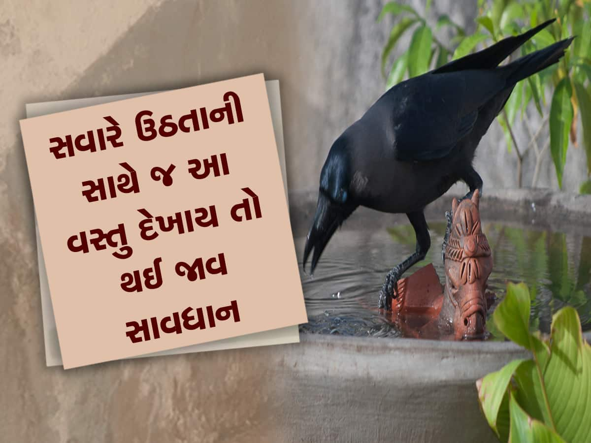 Shakun Apshakun: કાગડા સાથે જોડાયેલા આ સંકેતોને અવગણશો નહીં, જાણો શુભ- અશુભ ઘટનાઓ તરફના ઈશારા