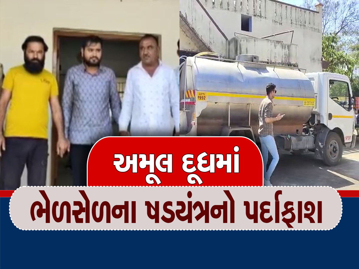 amul dairy strict action on farm owners who give 1000 liter milk from ...
