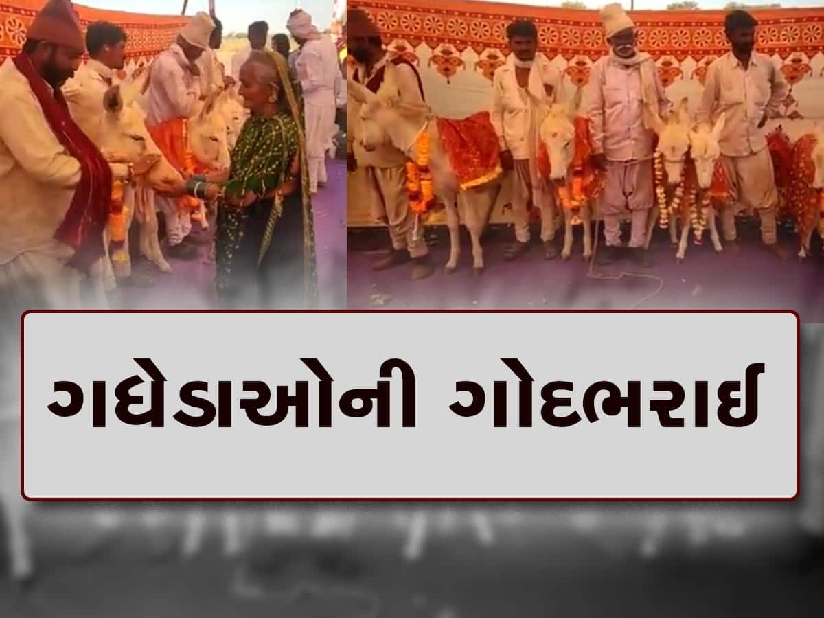 કદી સાંભળ્યો ન હોય તેવો કાર્યક્રમ કચ્છના ગધેડાઓ માટે યોજાયો