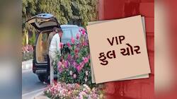 Video: G-20 સંમેલન માટે રાખેલા ફુલોના પોટ્સની ચોરી, લાખો રૂપિયાની કારથી આવ્યા ચોર