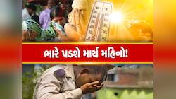 ગુજરાત પર તોળાઈ રહ્યું છે જોખમ! સરકાર ચિંતાતૂર, ગરમીથી બચવા આ ઉપાય અજમાવો