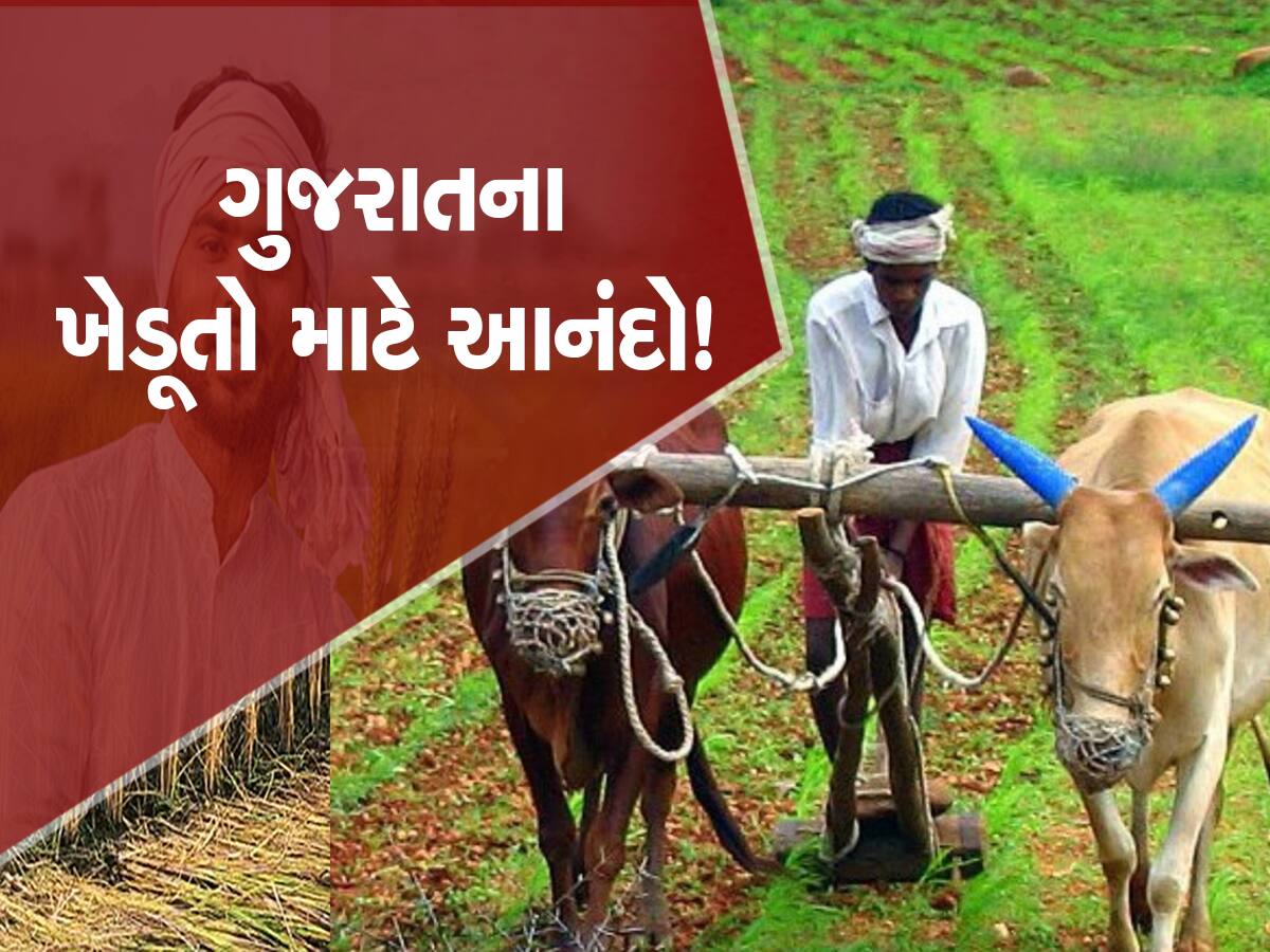 ઉનાળું પાકના વાવેતર માટે રાજ્ય સરકારે લીધો મોટો નિર્ણય, હવે નહીં સૂકાઈ પાક