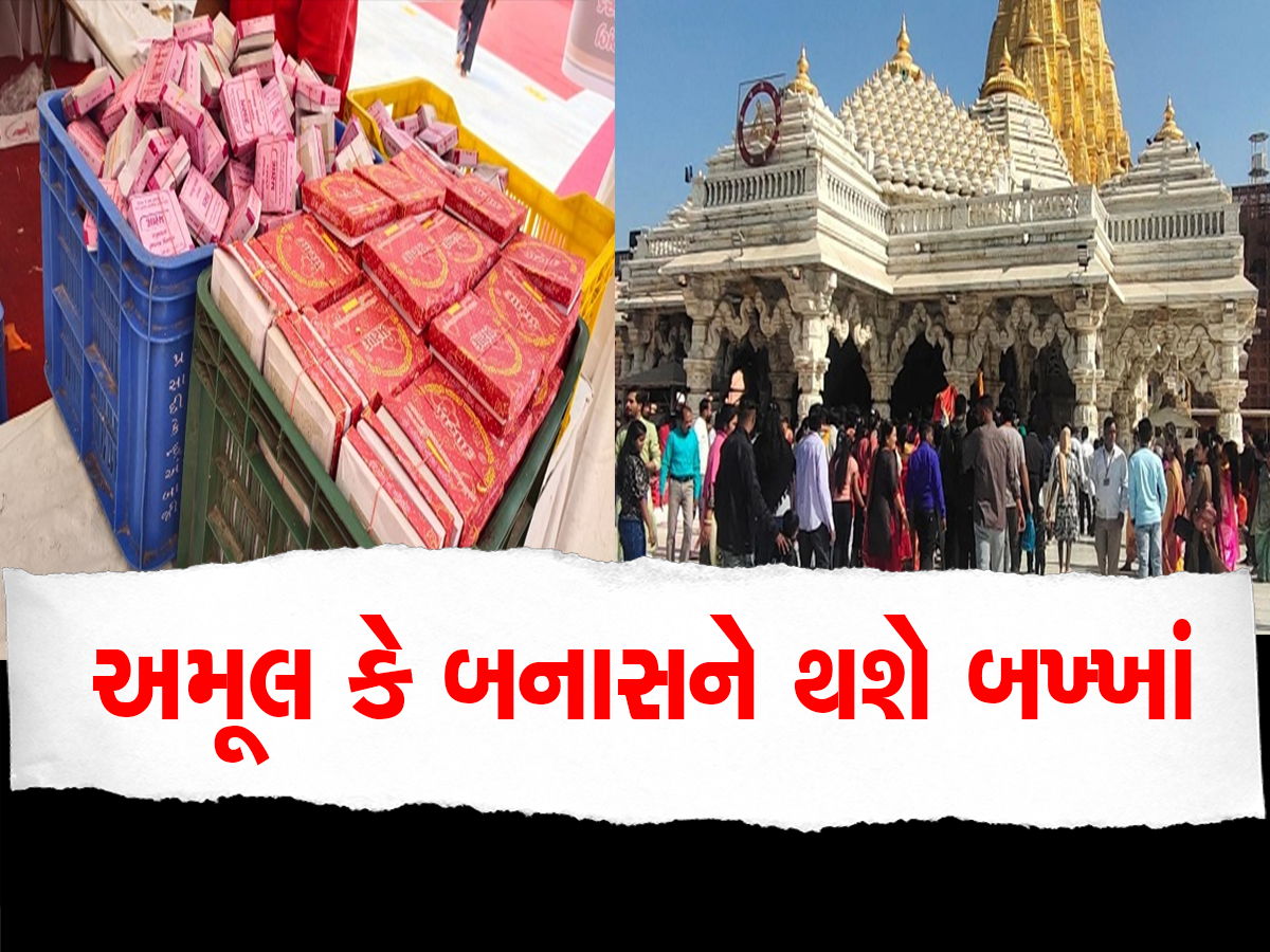 શક્તિપીઠ અંબાજી મંદિરમાં હવે મોહનથાળનો પ્રસાદ બંધ: નવા પ્રસાદમાં ચિક્કી મળશે