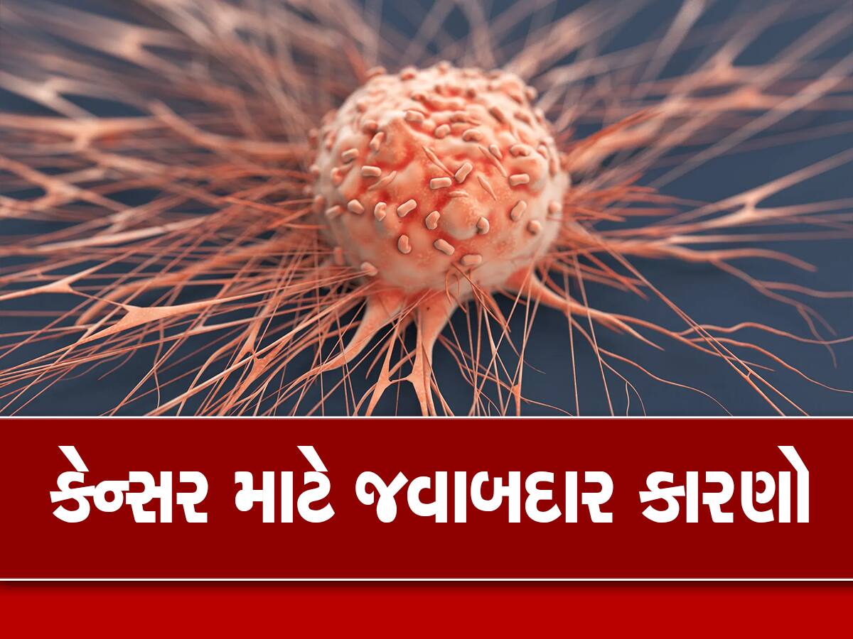 આ 4 વસ્તુઓ કેન્સરન સેલ્સને વધારવાનું કામ કરે છે, જાણો કેન્સરને રોકવાના પ્રયાસ