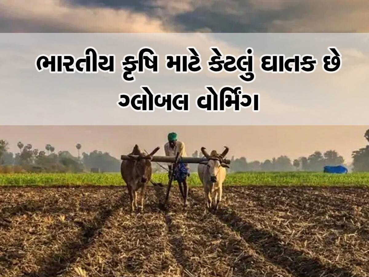 ગ્લોબલ વોર્મિંગને કારણે ખેતીમાં વિનાશ સર્જાશે! આગામી વર્ષોમાં જો બચવું હશે તો અપનાવો આ રસ્તો નહીં તો...
