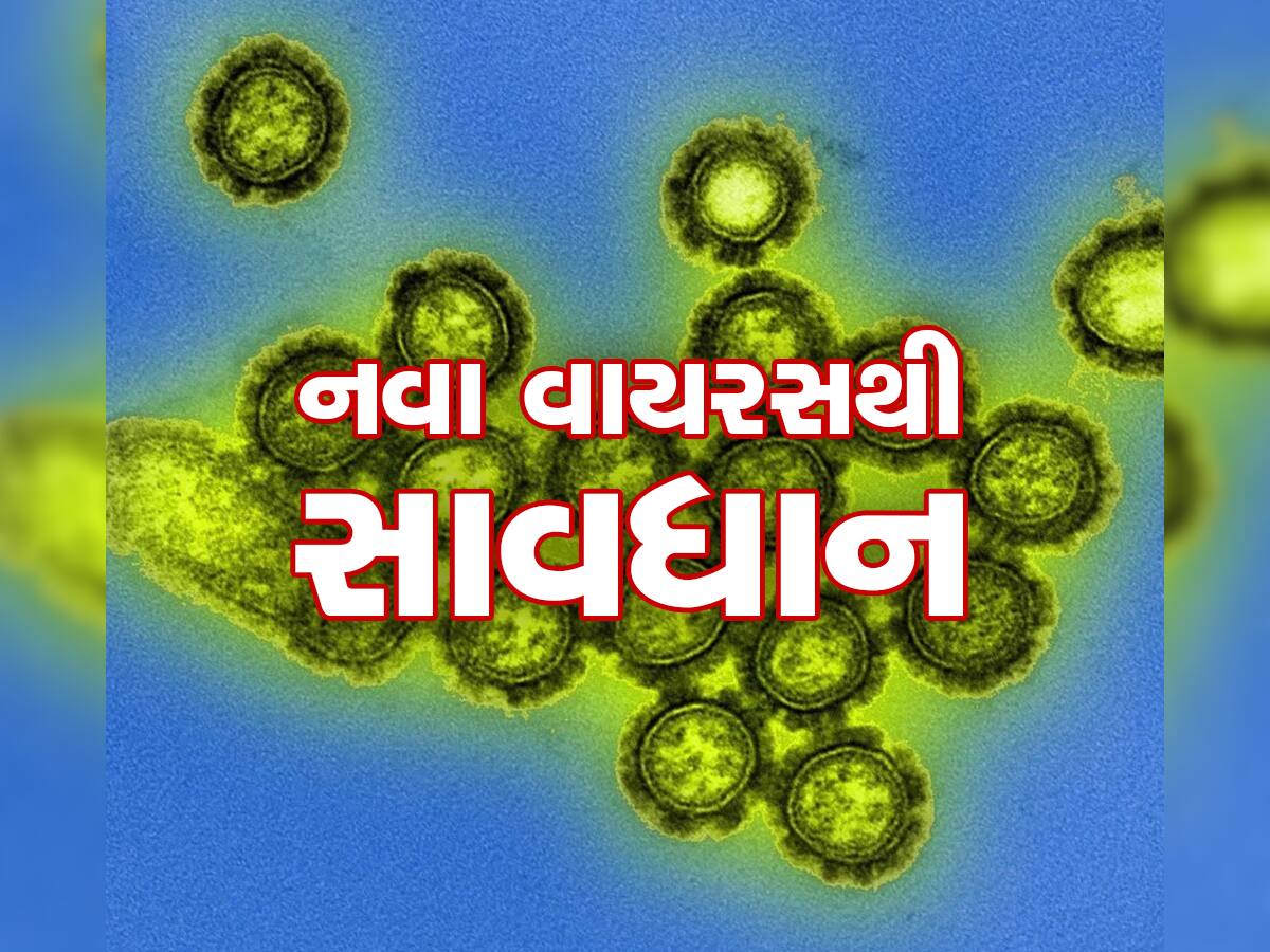 ચેતવણી : ગુજરાતમાં નવા વાયરસની એન્ટ્રી, અચાનક કેસ વધતા IMA એ આપ્યું આ એલર્ટ