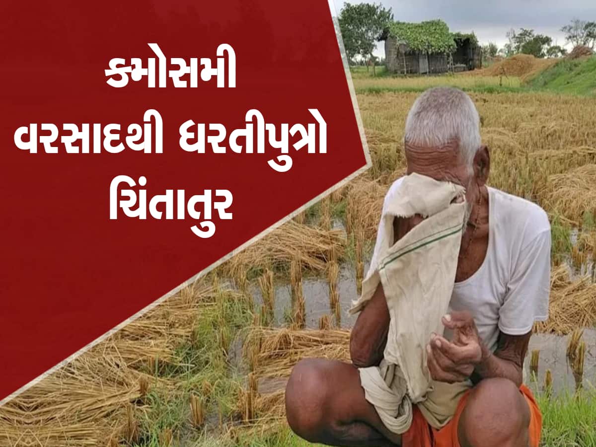 Monsoon effect in Gujarat: ગુજરાતના કેટલાંક વિસ્તારોમાં કડાકા-ભડાકા સાથે વરસાદની એન્ટ્રી, ખેડૂતો ચિંતિત