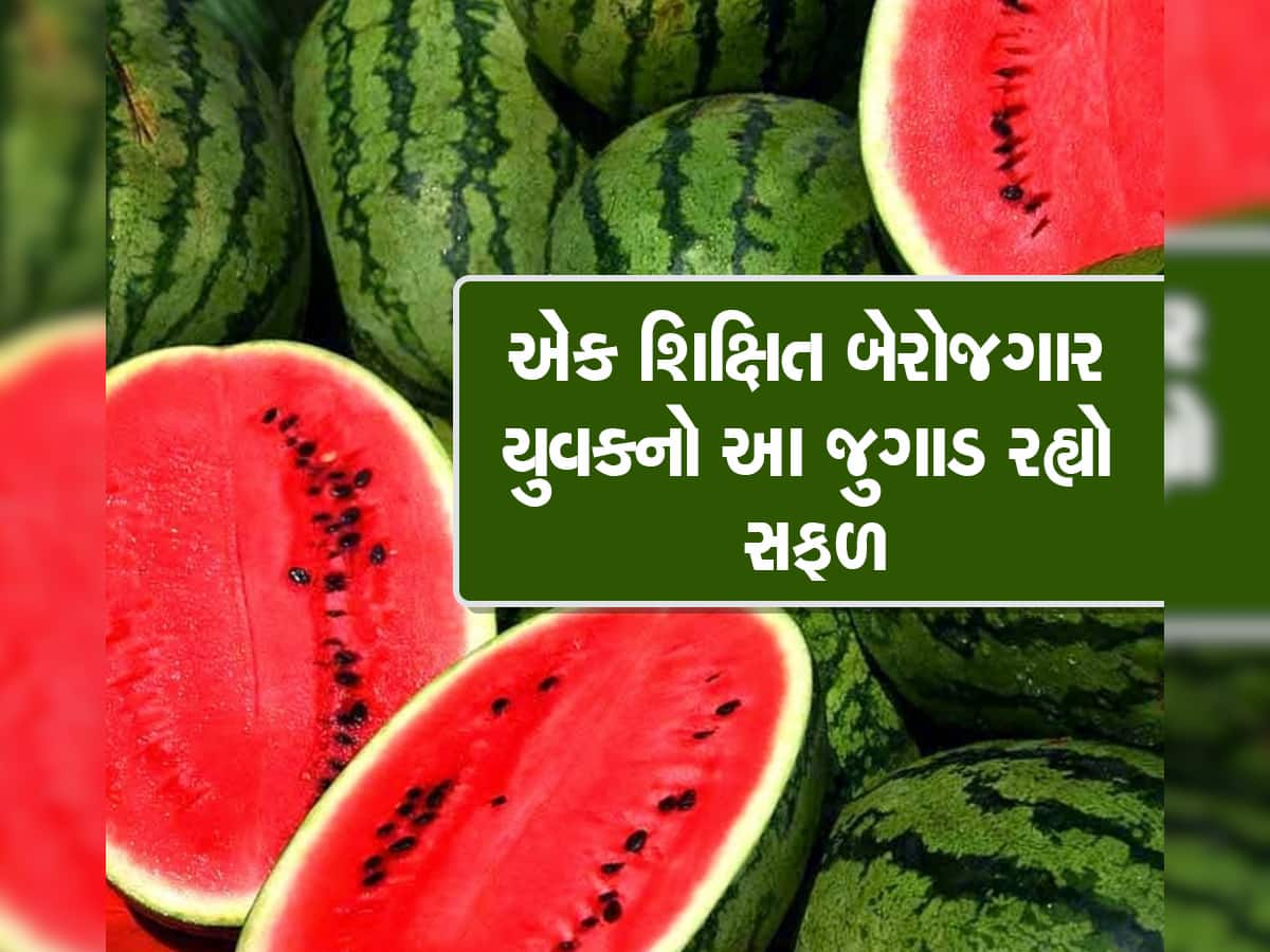 ગુજરાતના ખેડૂતે આ ખાસ પદ્ધતિથી ઉગાડ્યા તરબૂચ, માત્ર ત્રણ જ મહિનામાં કરે છે લાખોની કમાણી