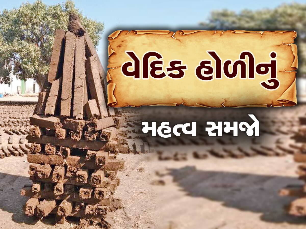 આ વસ્તુઓ નાંખીને પ્રગટાવો વૈદિક હોળી, આખું વર્ષ ક્યારેય બીમાર નહિ પડો 